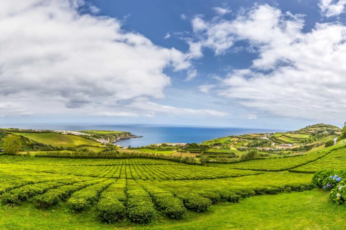 Azores